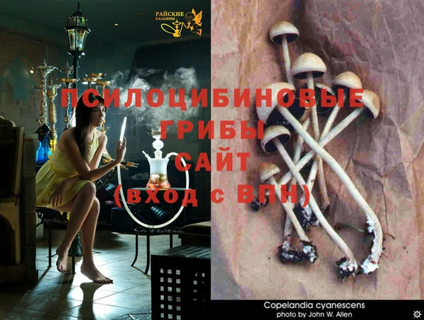 дмт Балабаново